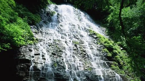 智能系统可靠性节能